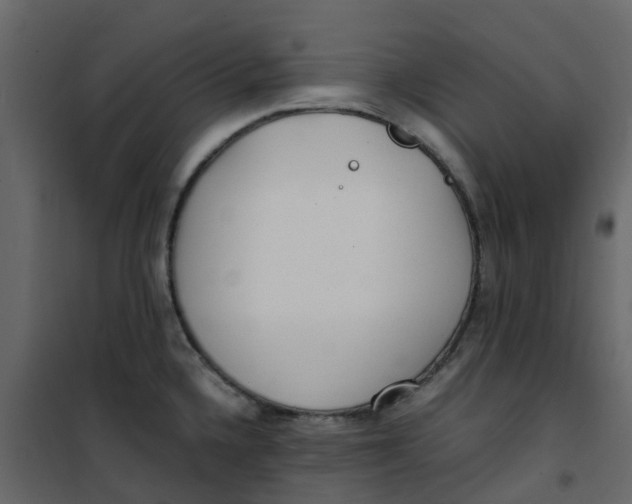 X0000101101336200807171903