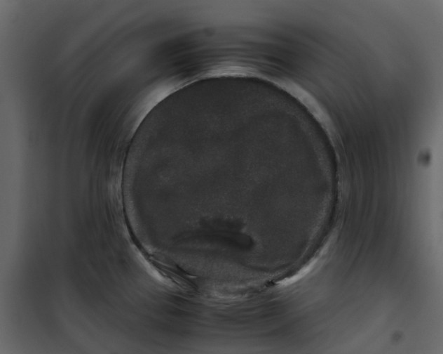 X0000101101337200807171903