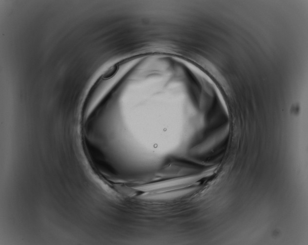 X0000101101339200807171903