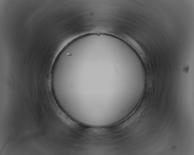 X0000101101340200807171903