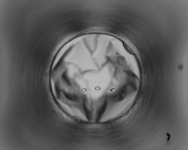 X0000101101341200807171903