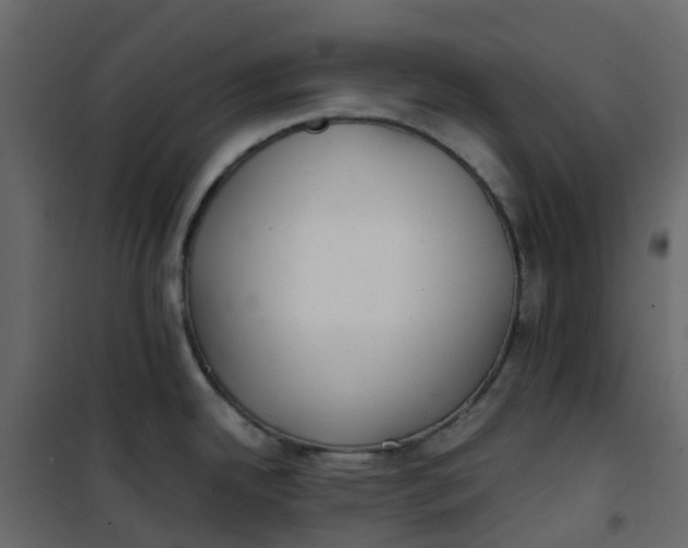 X0000101101342200807171903