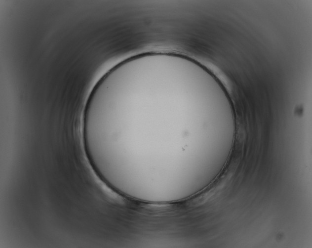 X0000101101343200807171903