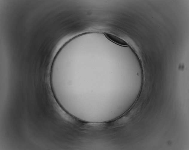 X0000101101344200807171903