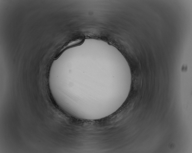 X0000101101345200807171902