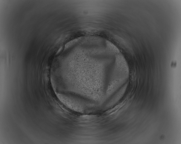 X0000101101346200807171902