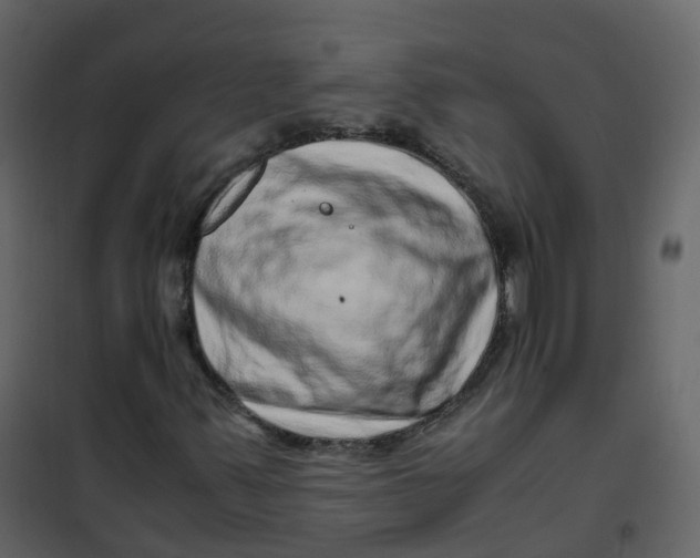 X0000101101347200807171902