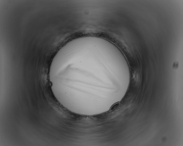 X0000101101348200807171902