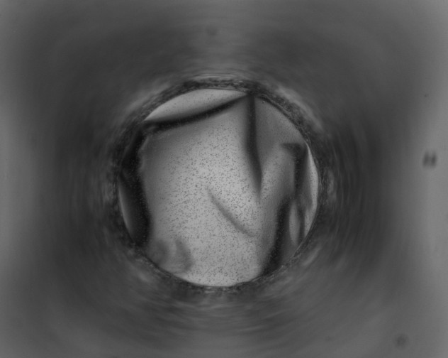 X0000101101350200807171902