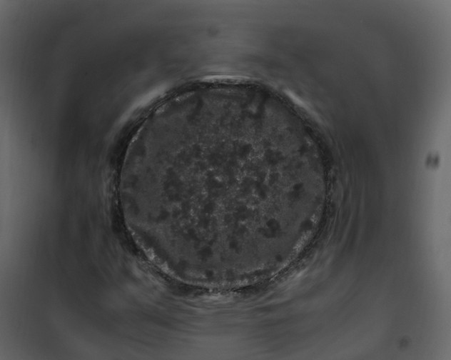 X0000101101351200807171902