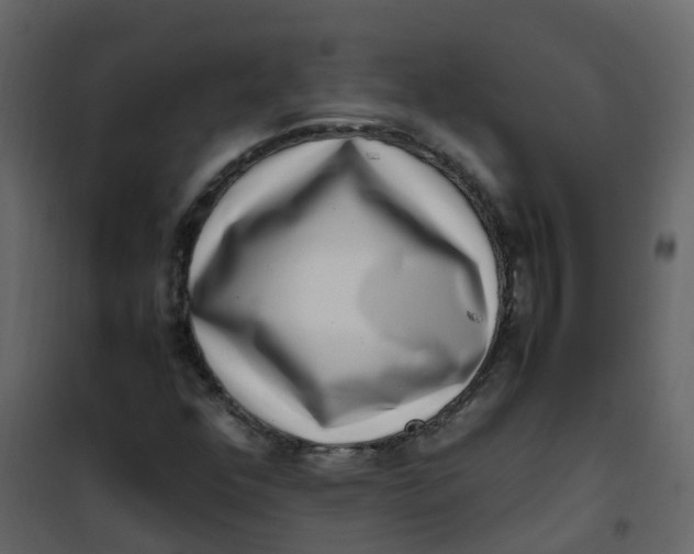 X0000101101352200807171902