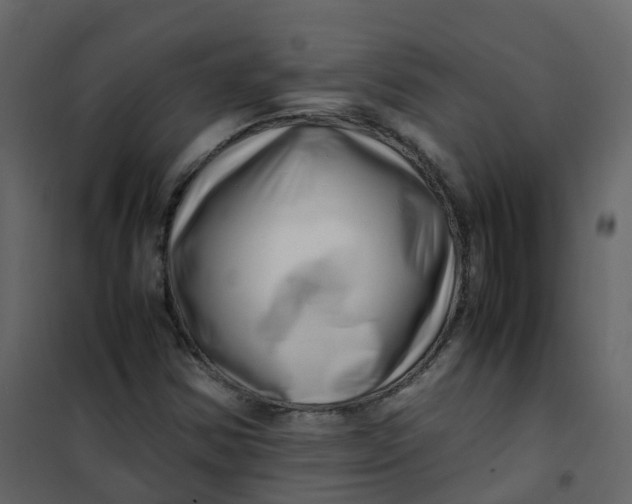 X0000101101354200807171902