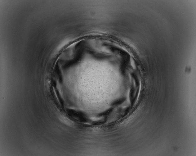 X0000101101355200807171902