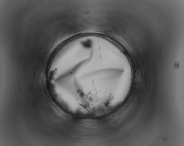 X0000101101356200807171902