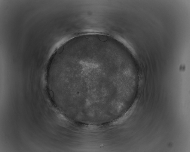 X0000101101357200807171902