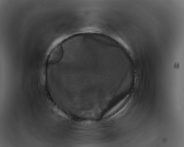 X0000101101358200807171902