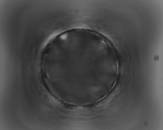 X0000101101359200807171902