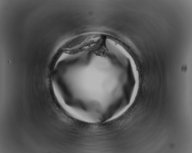 X0000101101360200807171902