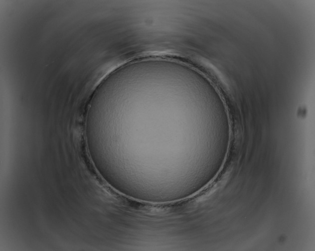 X0000101101361200807171902