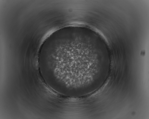 X0000101101362200807171902