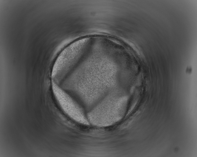 X0000101101363200807171902