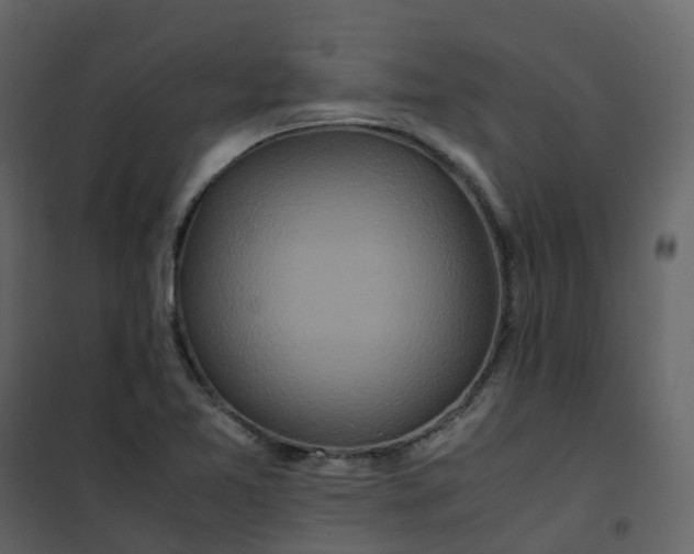 X0000101101365200807171902