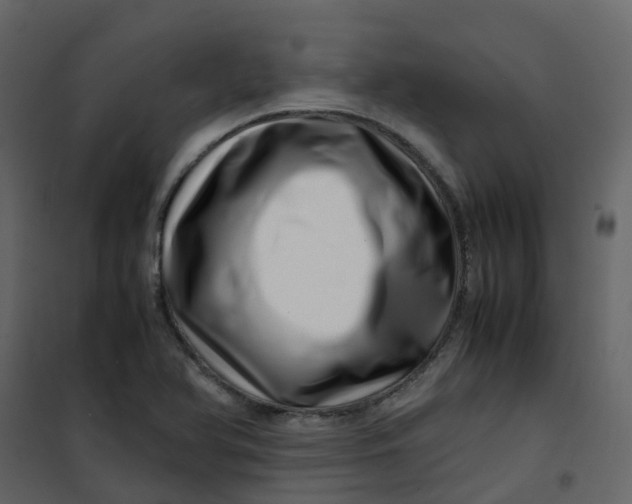 X0000101101366200807171902