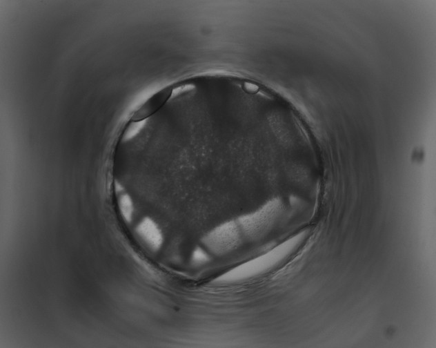 X0000101101367200807171902