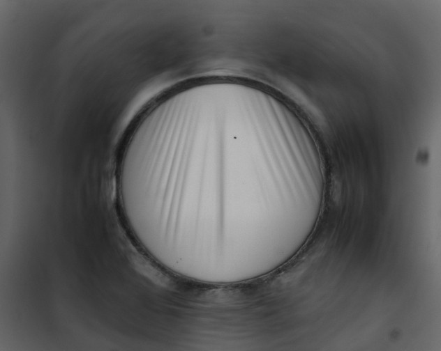 X0000101101368200807171902