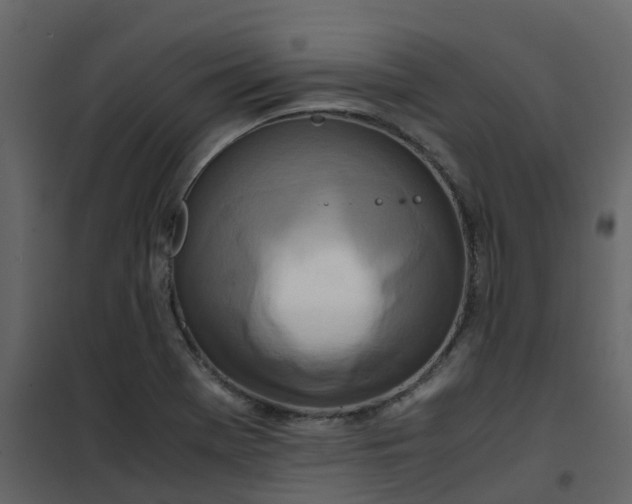 X0000101101369200807171902