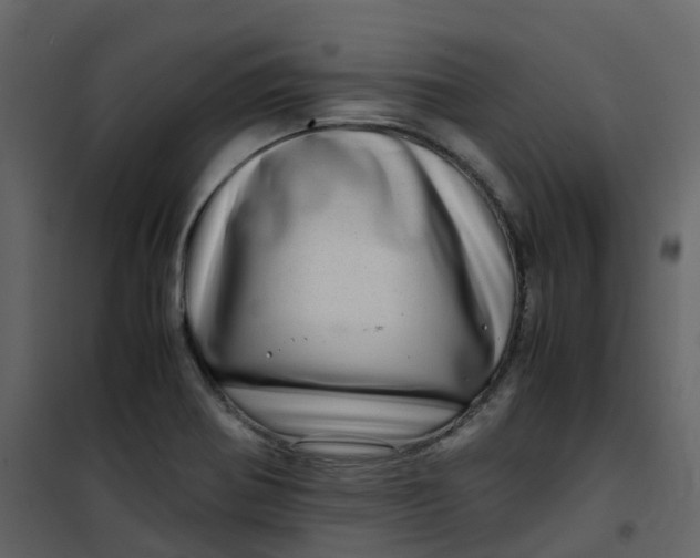 X0000101101370200807171902