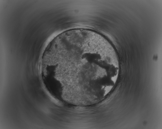 X0000101101371200807171902