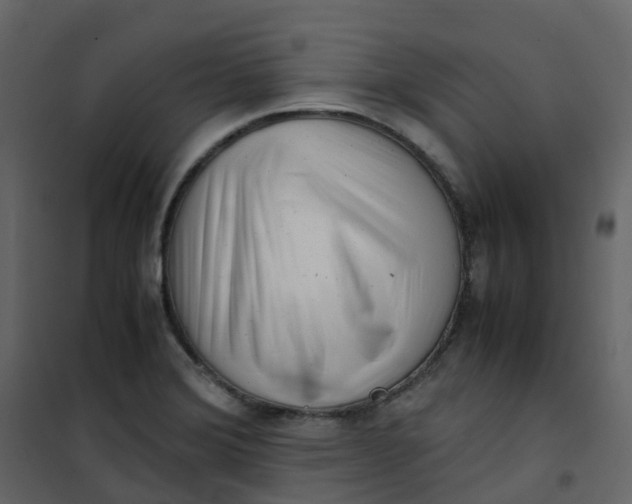 X0000101101372200807171902