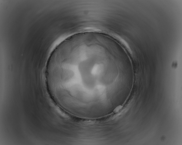 X0000101101373200807171902