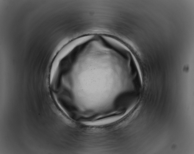 X0000101101374200807171902