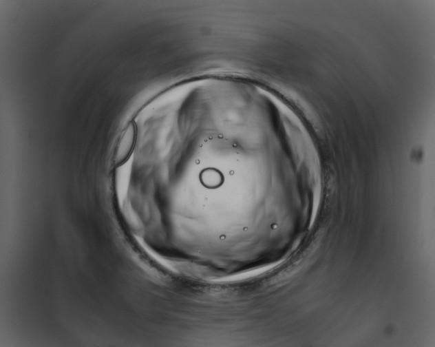 X0000101101375200807171902