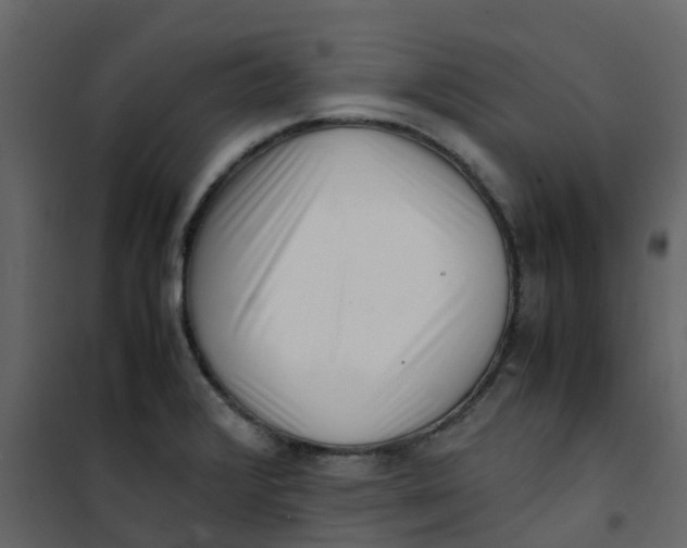 X0000101101376200807171902