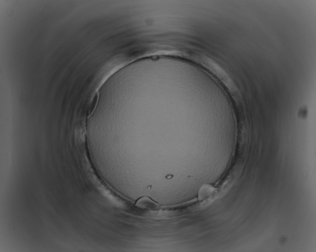 X0000101101377200807171902