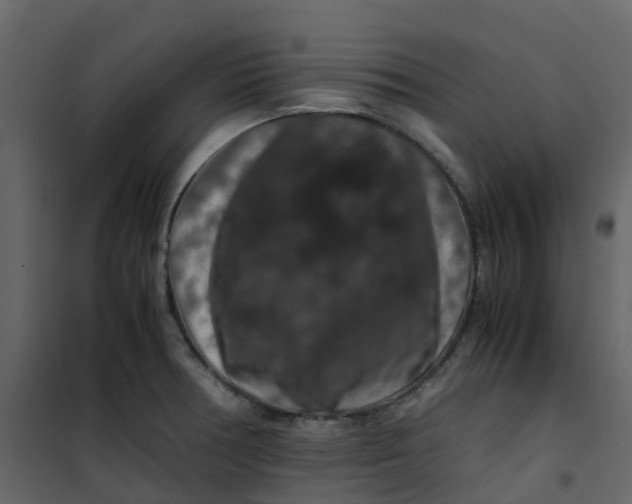 X0000101101378200807171902