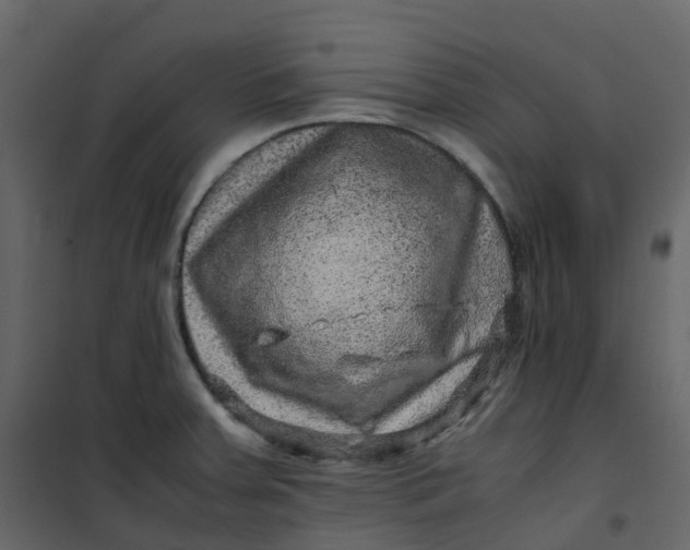 X0000101101379200807171902