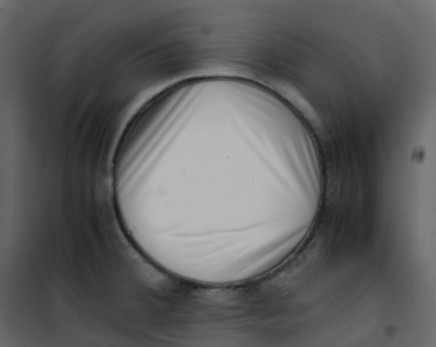 X0000101101380200807171902