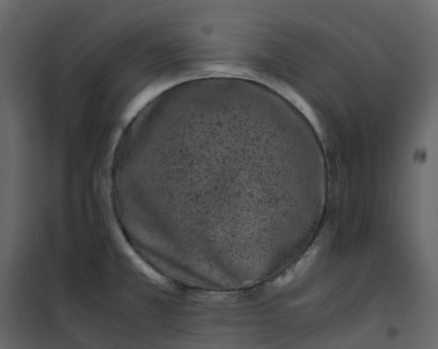 X0000101101381200807171902