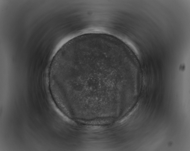 X0000101101382200807171901