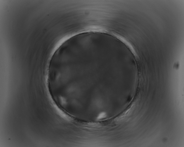 X0000101101383200807171901