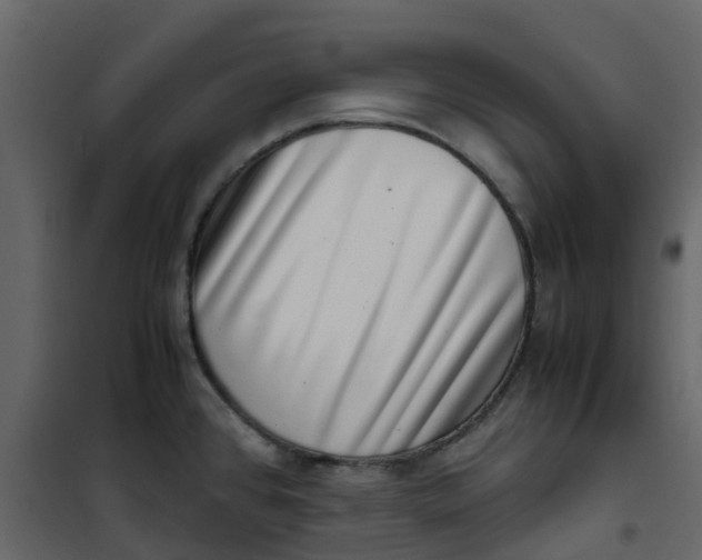 X0000101101384200807171901