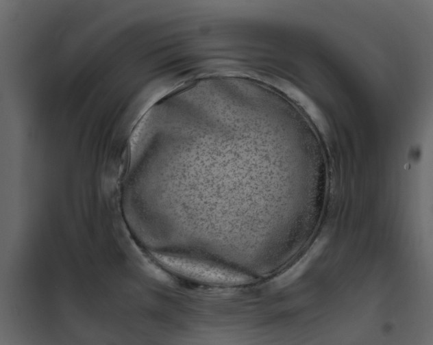 X0000101101385200807171901