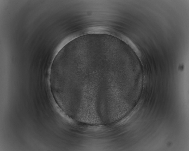 X0000101101386200807171901