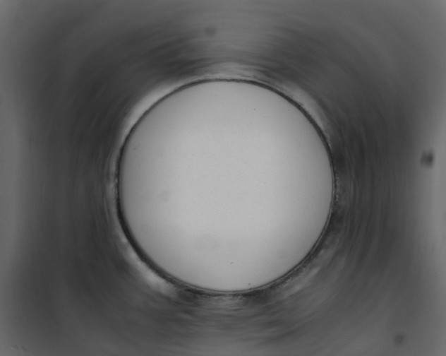 X0000101101387200807171901