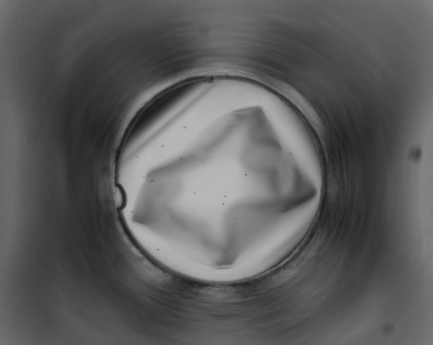 X0000101101388200807171901