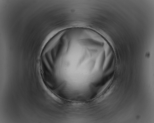 X0000101101389200807171901